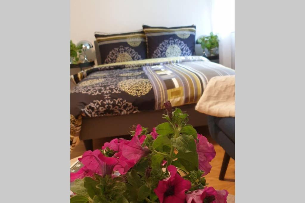 Dalen Studio 1 מראה חיצוני תמונה
